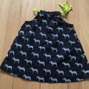 Cherokee Zebra Dress